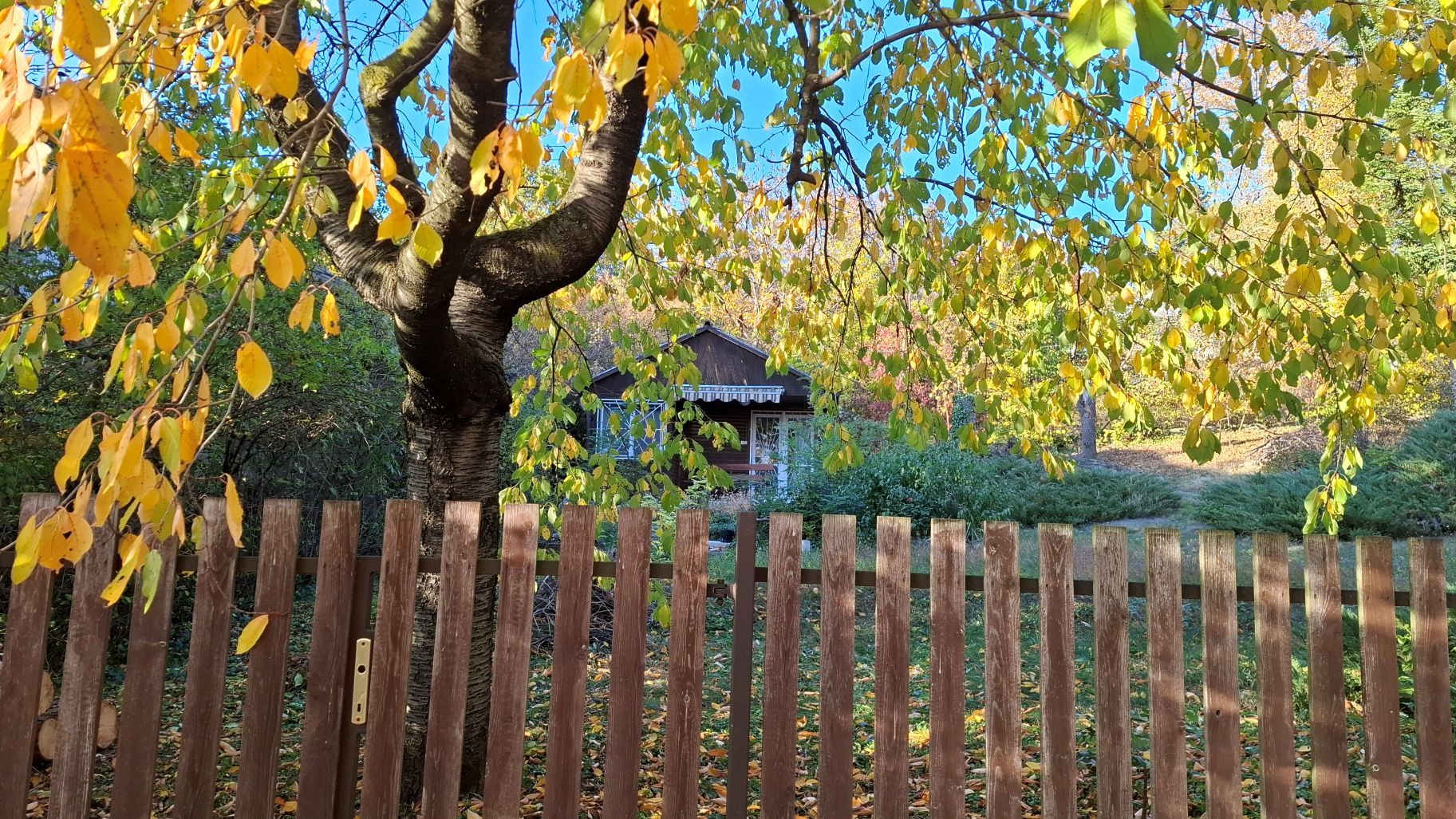 TÉKA-módosítások 2026. január 14-től – 7. rész: a zártkerti művelés alól kivont ingatlanok beépíthetősége